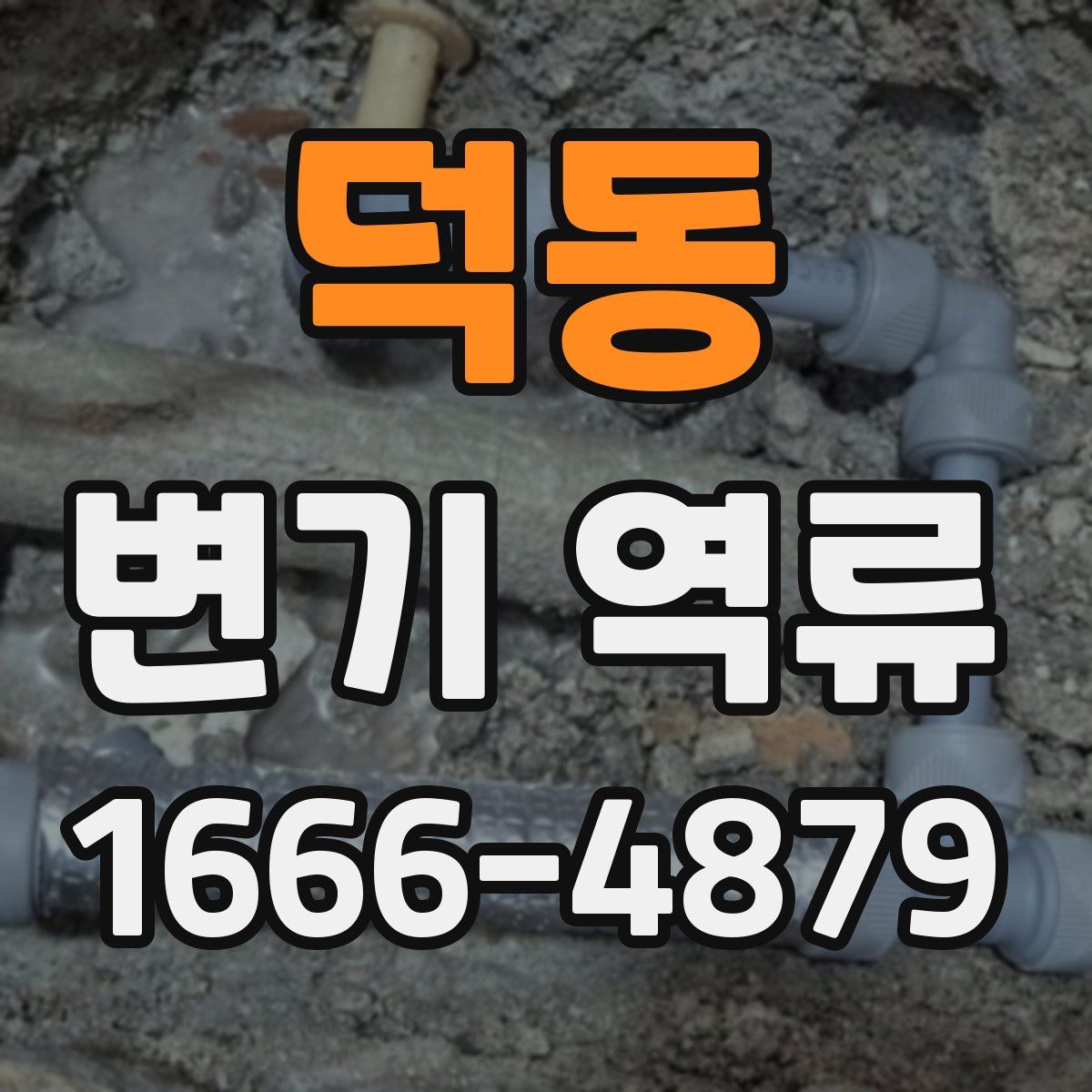 덕동 변기 역류