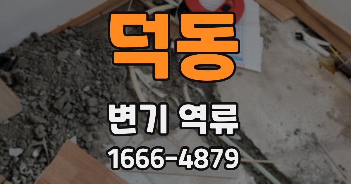 덕동 변기 역류
