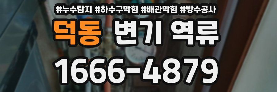 덕동 변기 역류