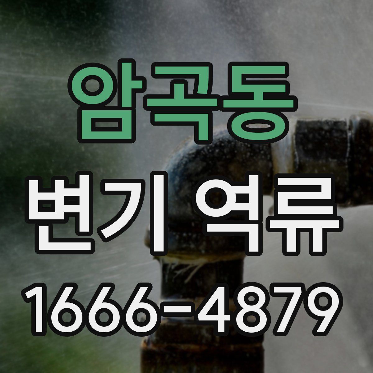 암곡동 변기 역류
