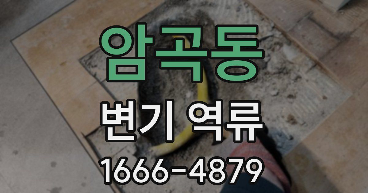 암곡동 변기 역류