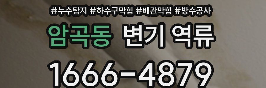 암곡동 변기 역류