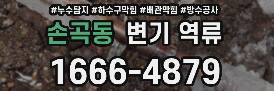 손곡동 변기 역류