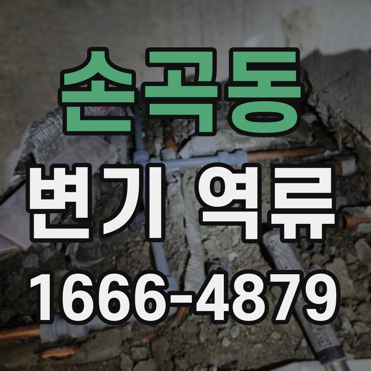 손곡동 변기 역류