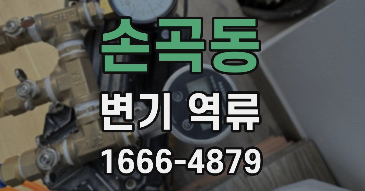 손곡동 변기 역류