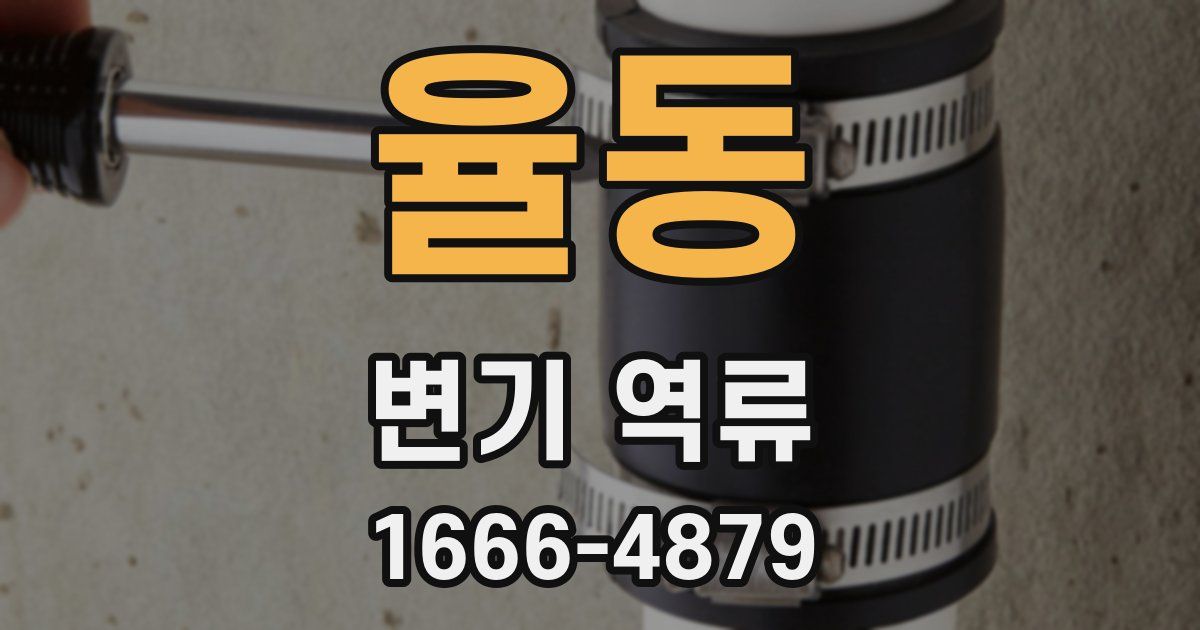율동 변기 역류