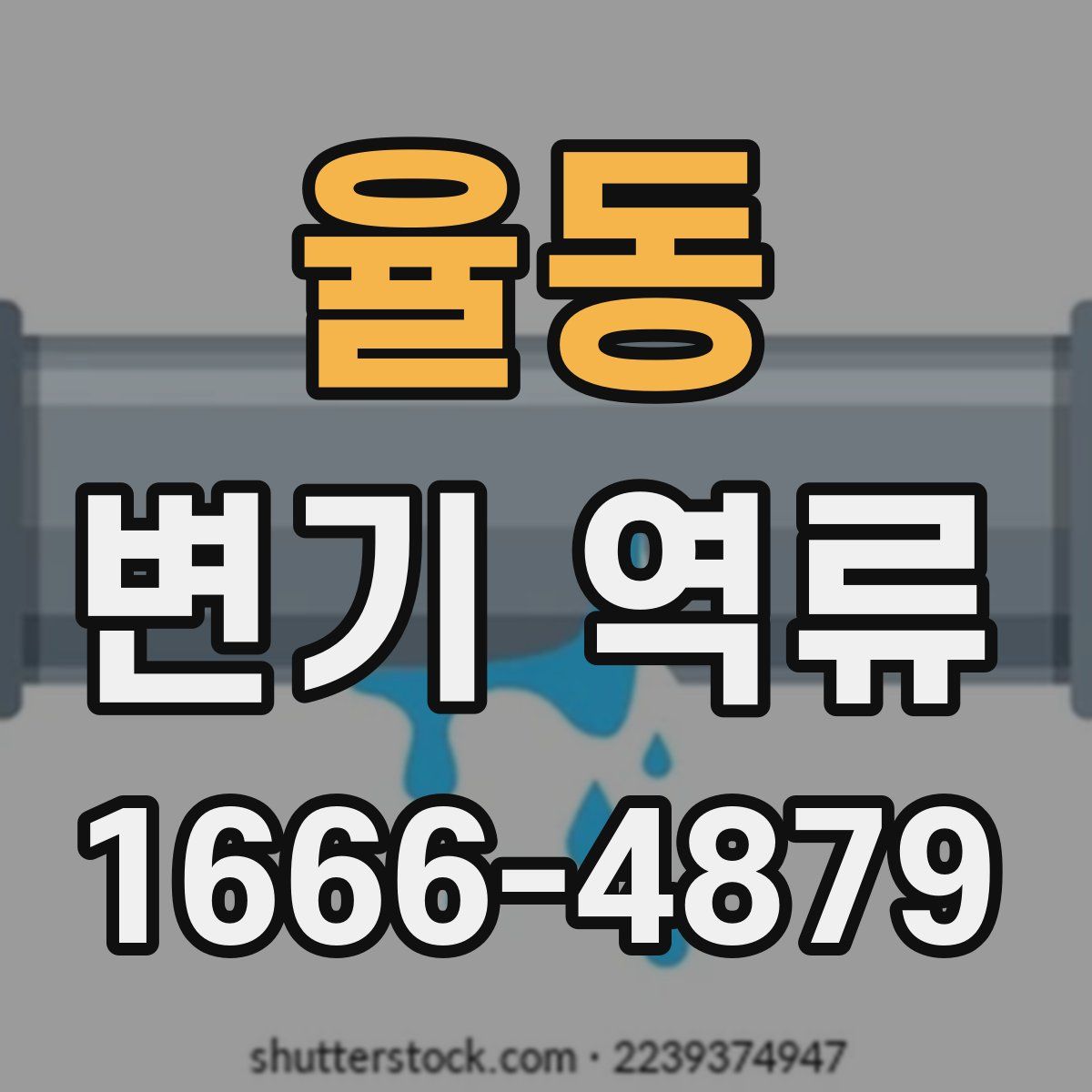 율동 변기 역류