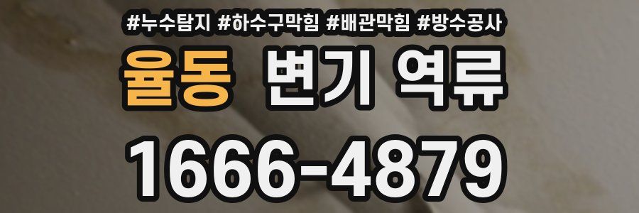 율동 변기 역류