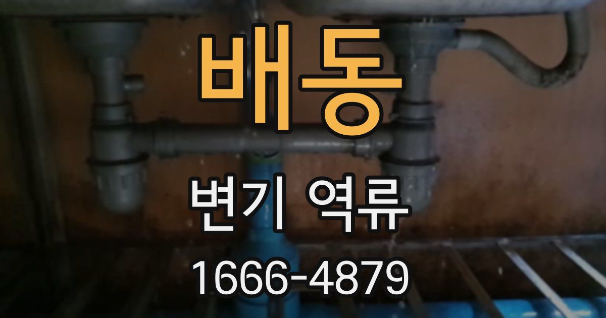 배동 변기 역류