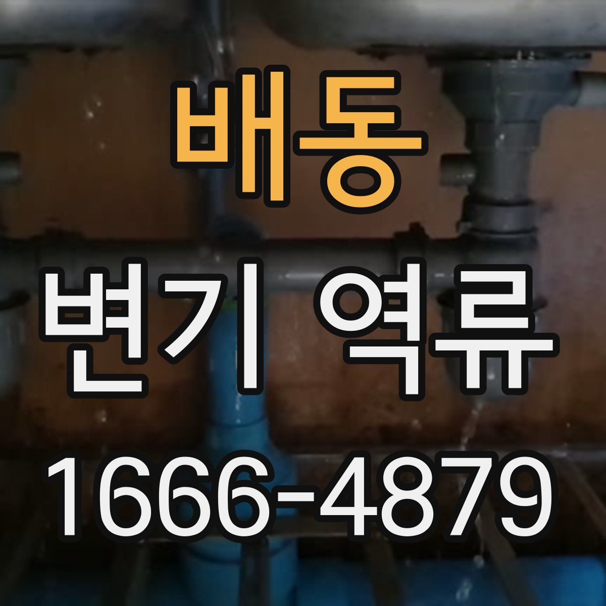 배동 변기 역류