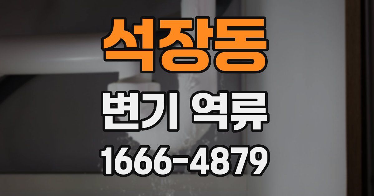 석장동 변기 역류
