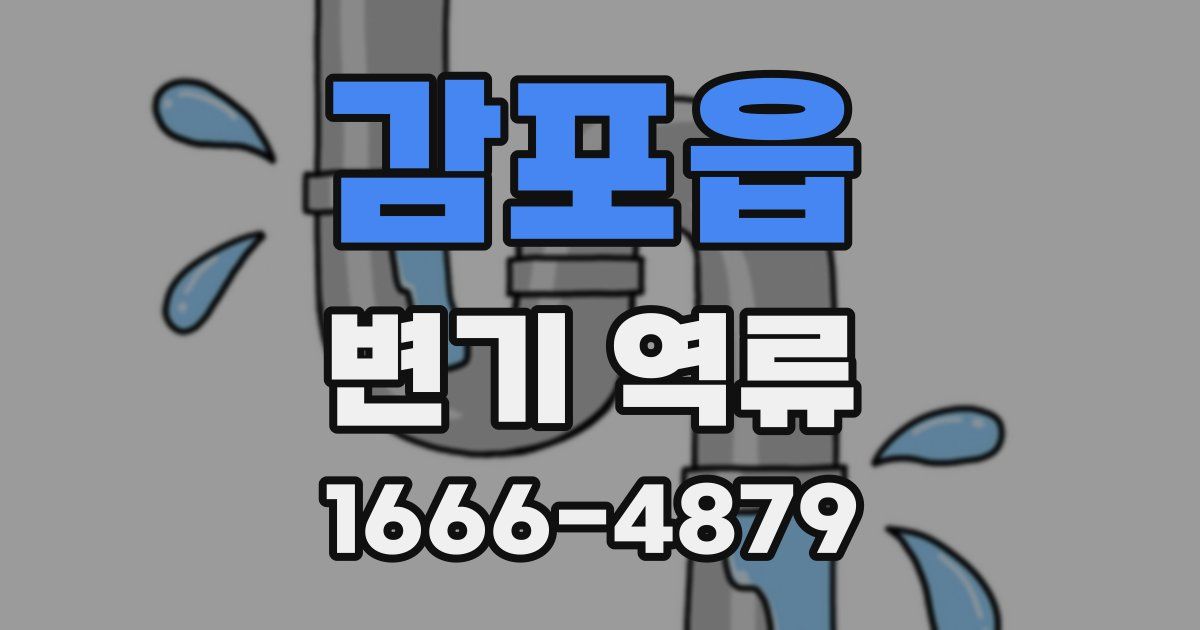 감포읍 변기 역류