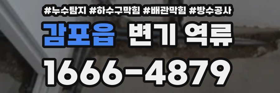 감포읍 변기 역류