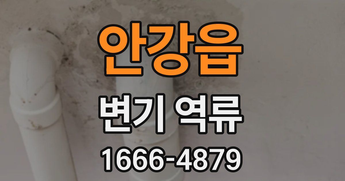 안강읍 변기 역류
