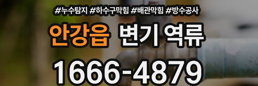 안강읍 변기 역류