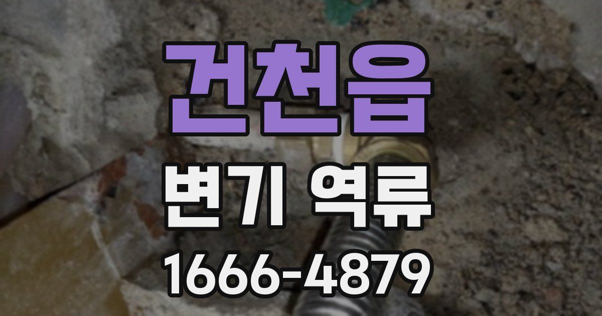 건천읍 변기 역류