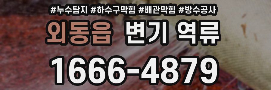 외동읍 변기 역류