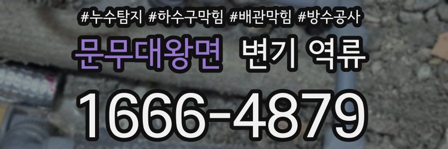 문무대왕면 변기 역류