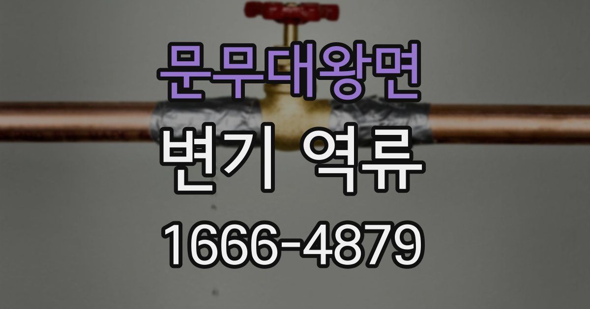 문무대왕면 변기 역류