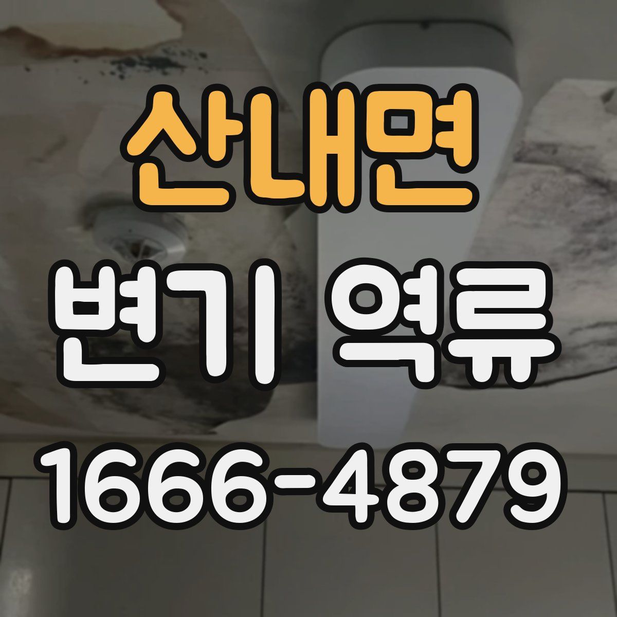 산내면 변기 역류