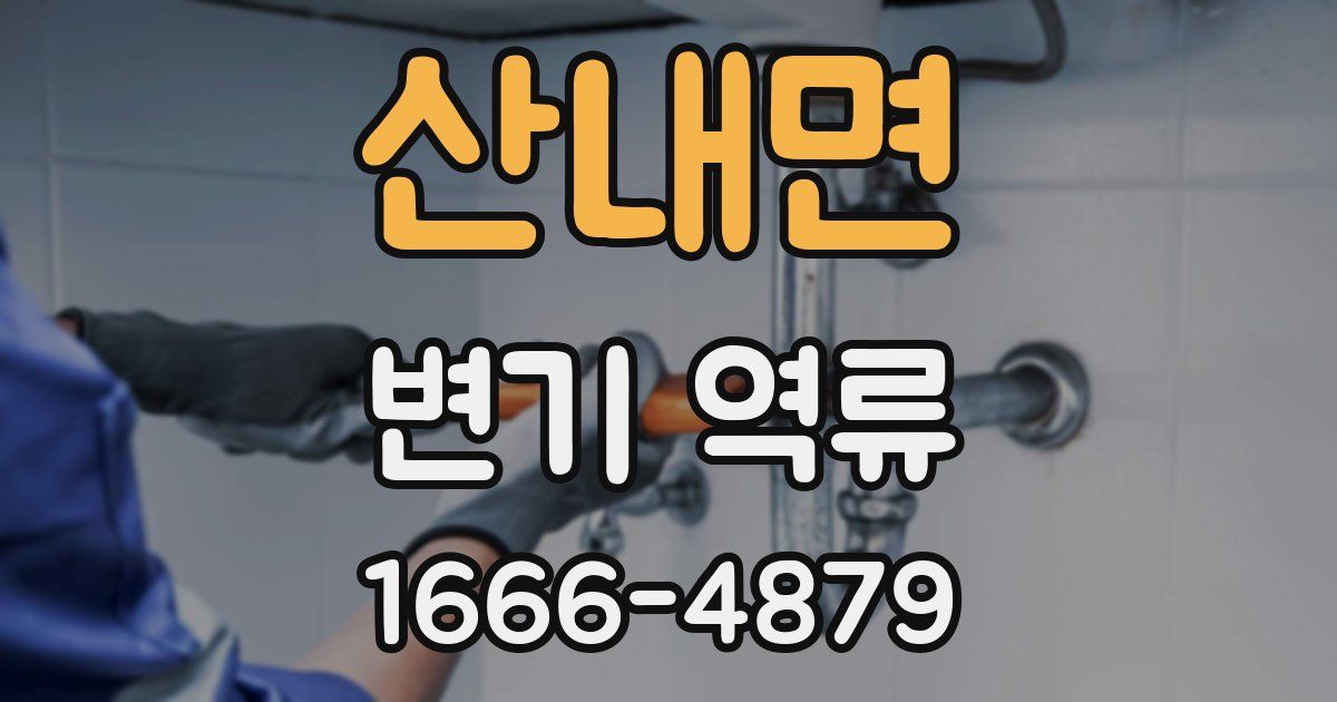 산내면 변기 역류