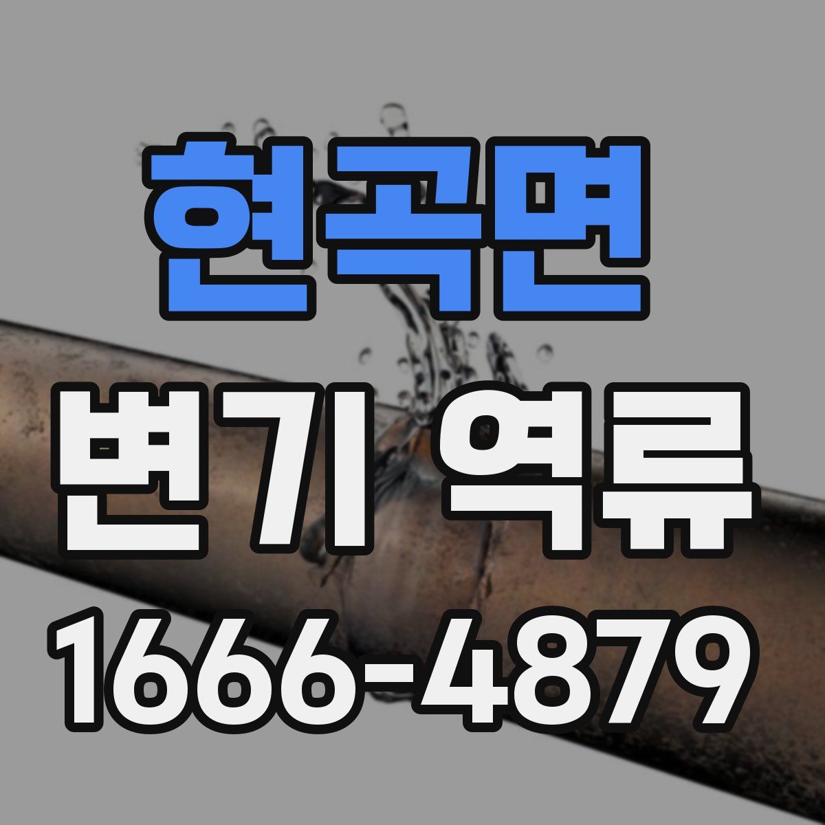 현곡면 변기 역류