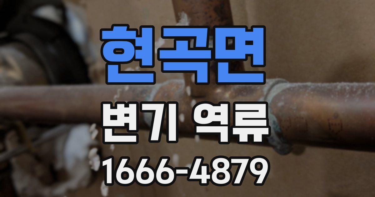 현곡면 변기 역류