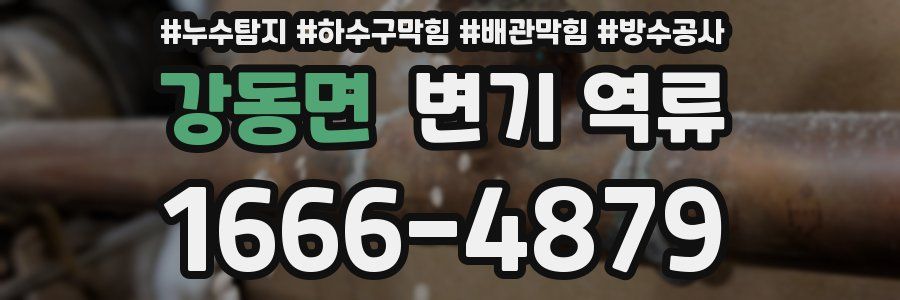 강동면 변기 역류