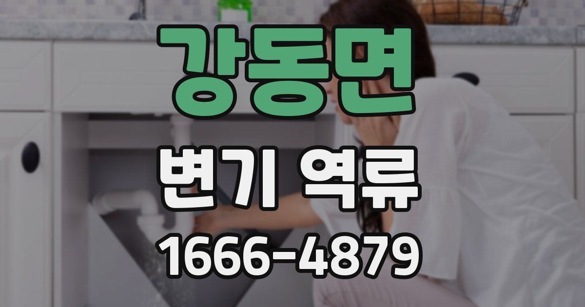 강동면 변기 역류