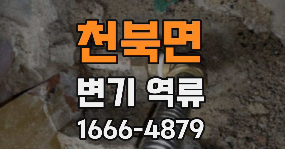 천북면 변기 역류
