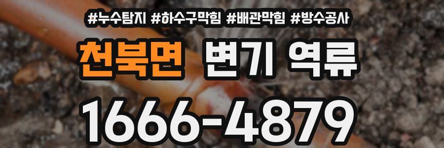 천북면 변기 역류