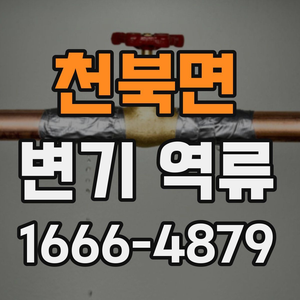 천북면 변기 역류