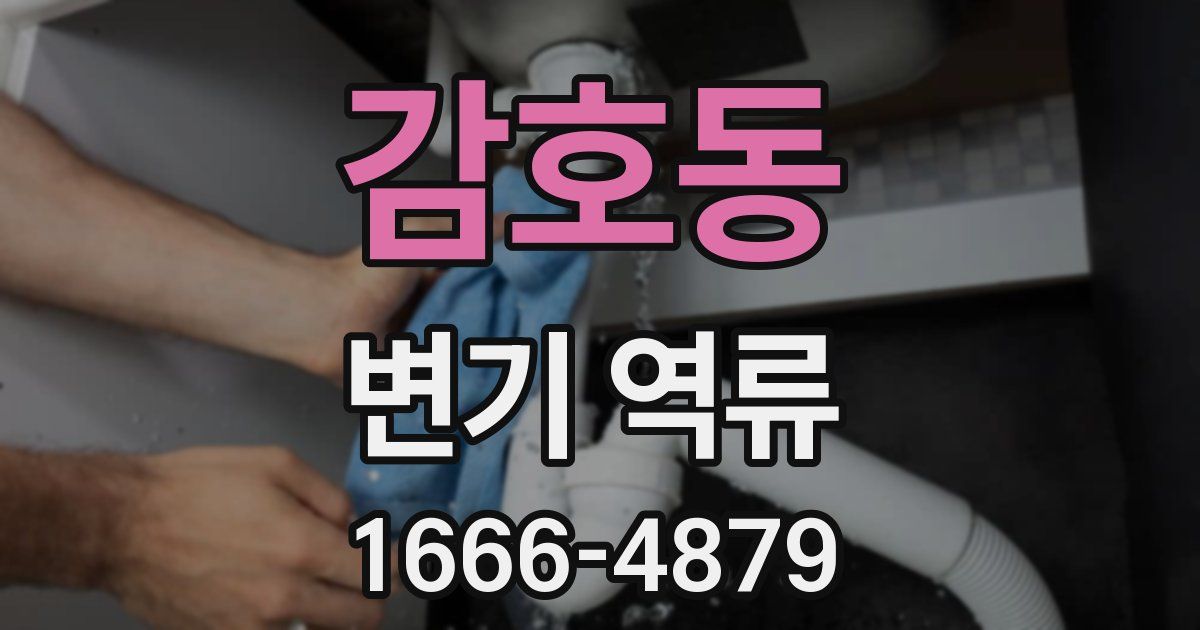 감호동 변기 역류