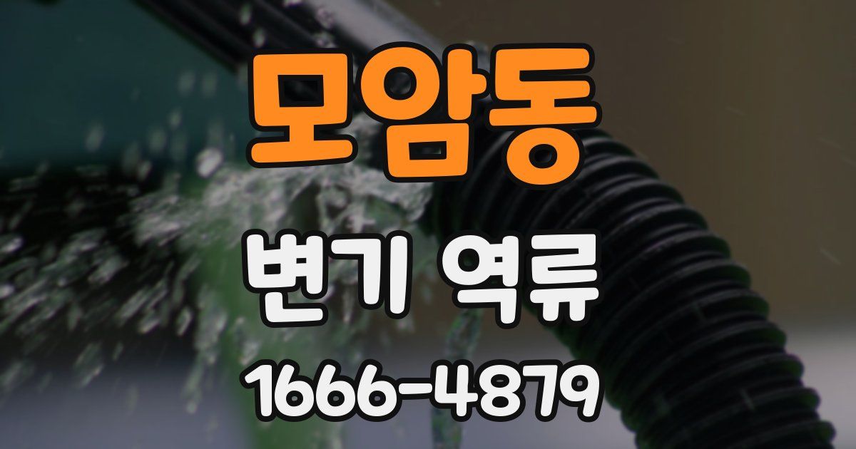 모암동 변기 역류