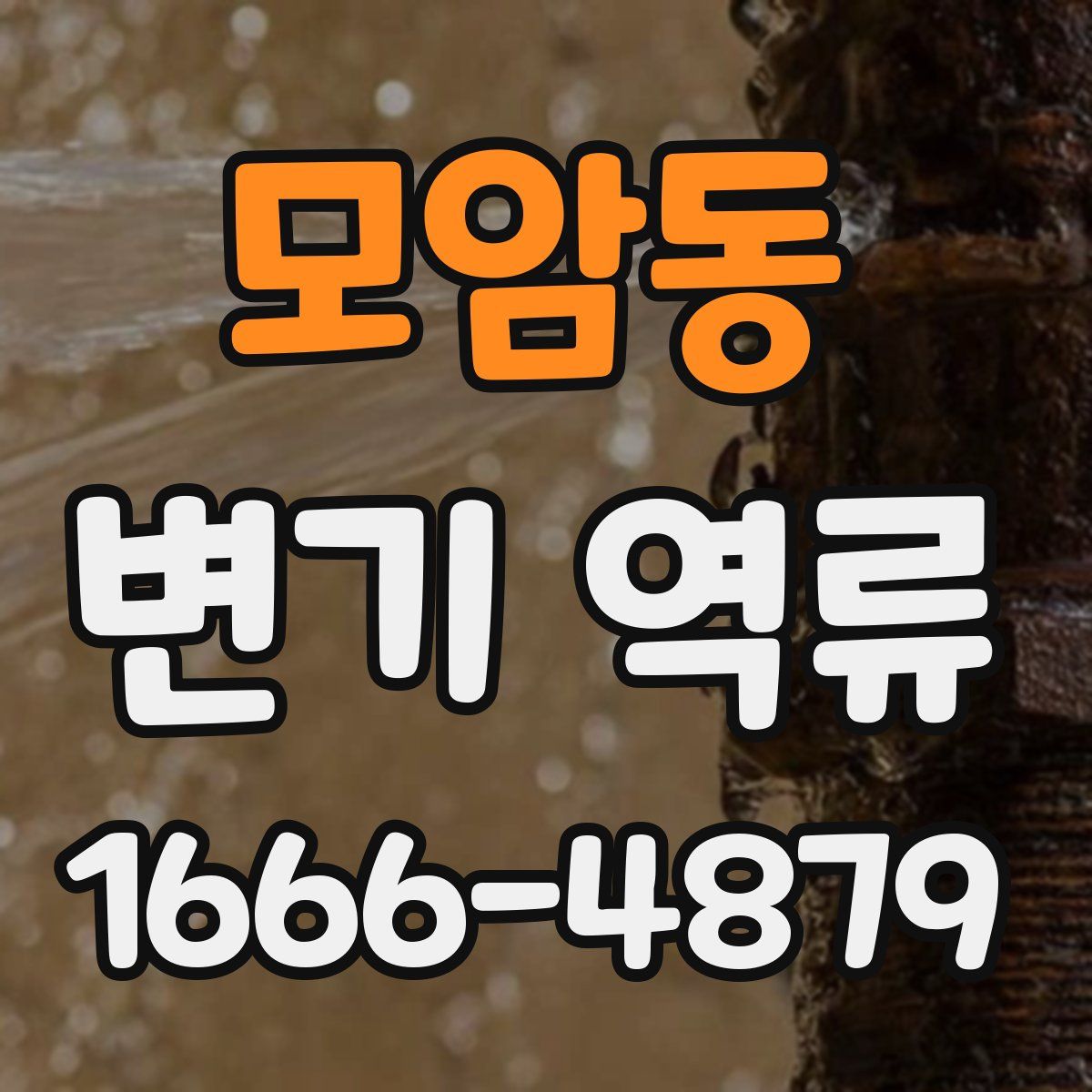 모암동 변기 역류
