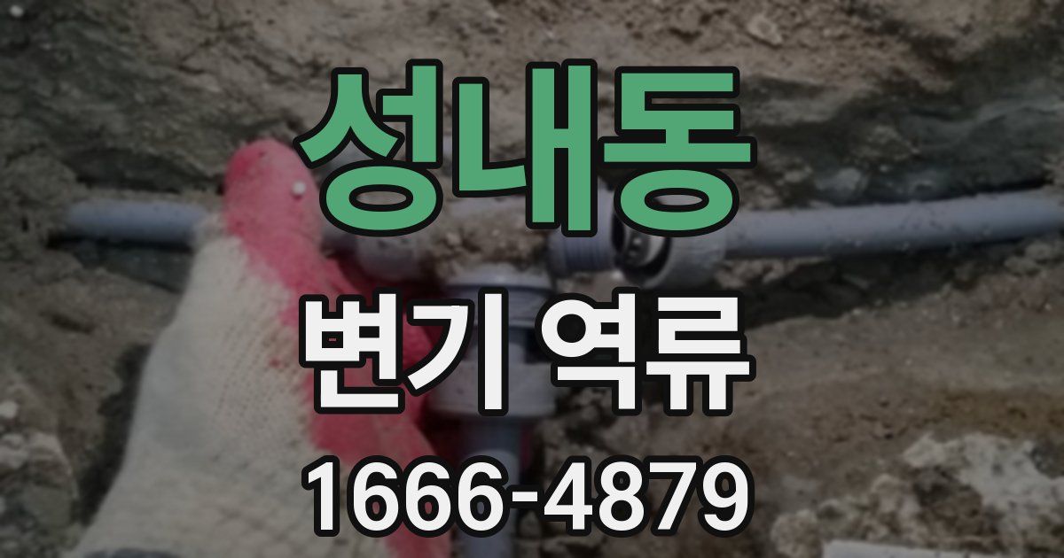성내동 변기 역류