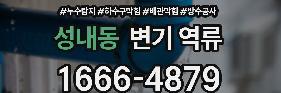 성내동 변기 역류