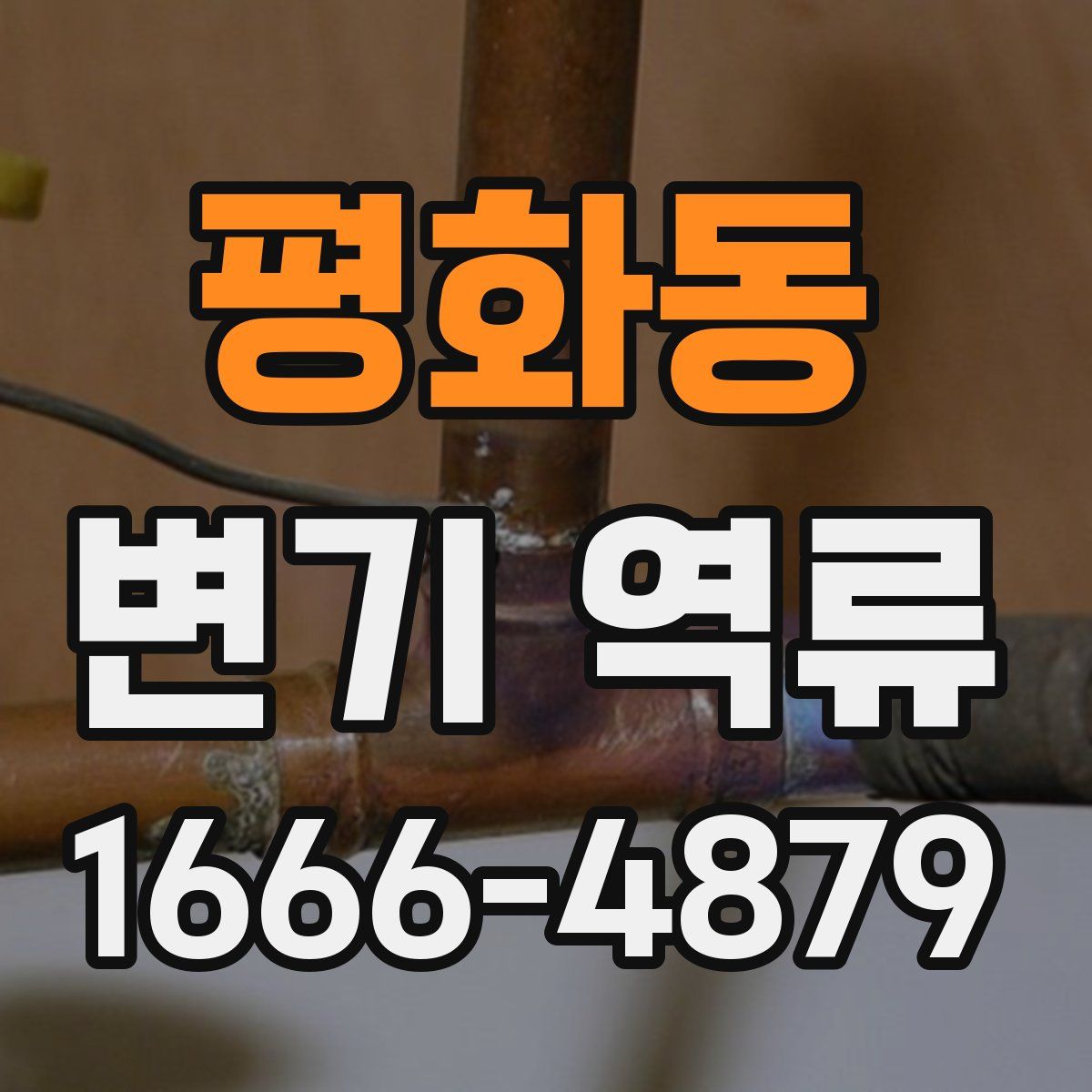 평화동 변기 역류