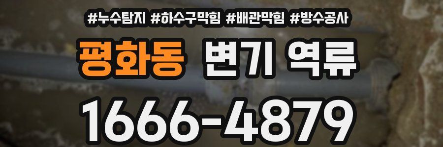 평화동 변기 역류