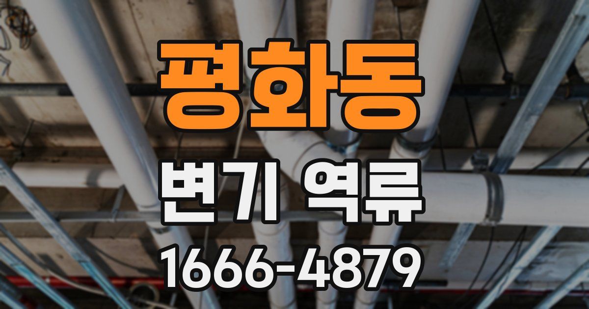 평화동 변기 역류