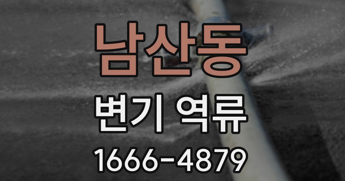 남산동 변기 역류