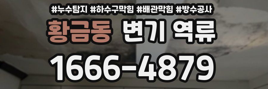 황금동 변기 역류