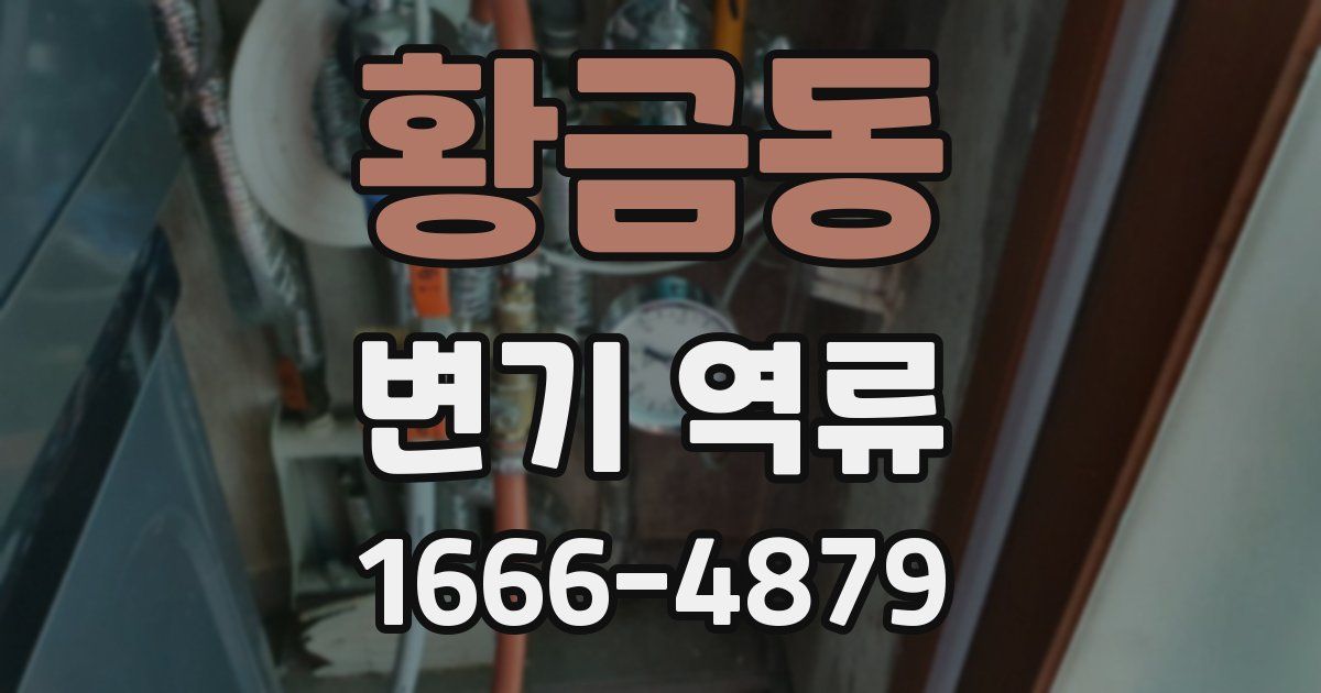황금동 변기 역류