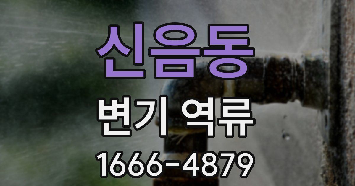 신음동 변기 역류