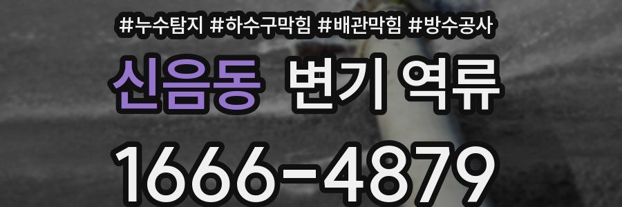 신음동 변기 역류