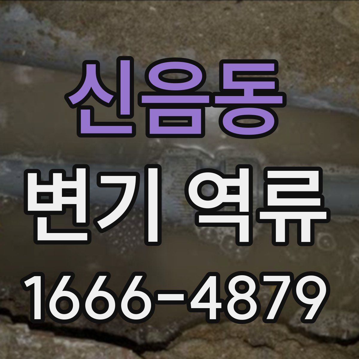 신음동 변기 역류