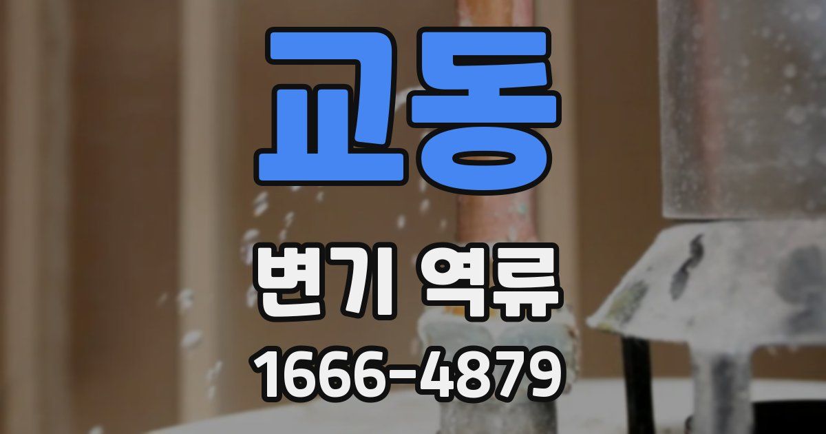 교동 변기 역류