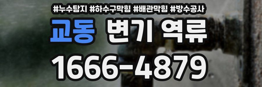 교동 변기 역류