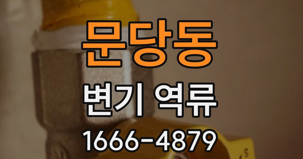 문당동 변기 역류