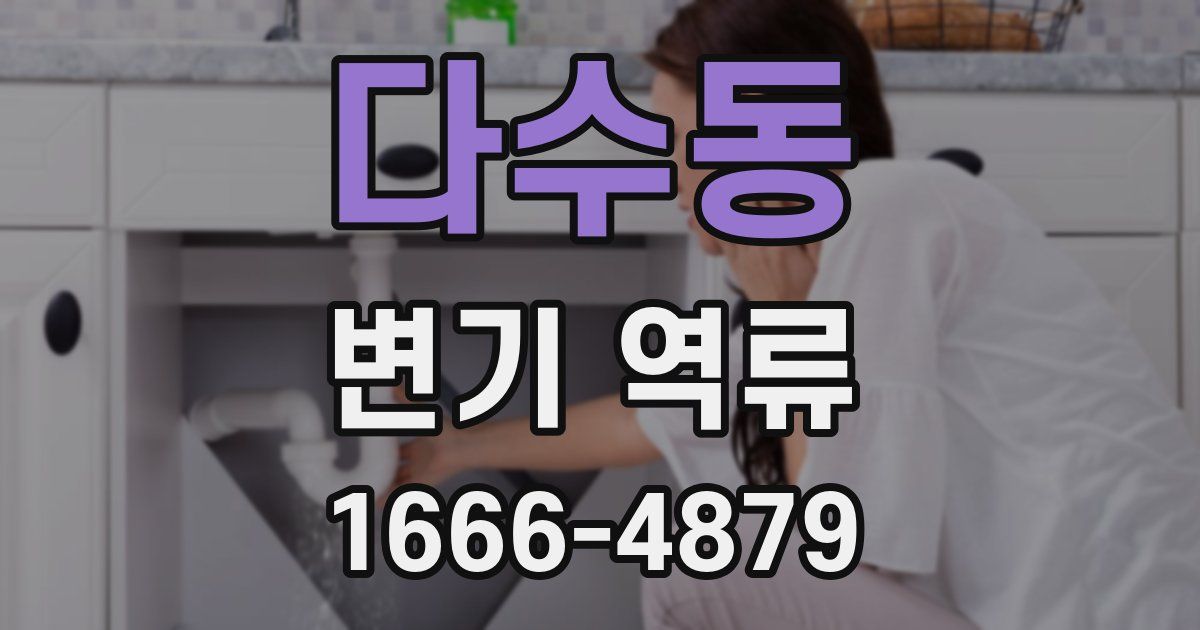 다수동 변기 역류